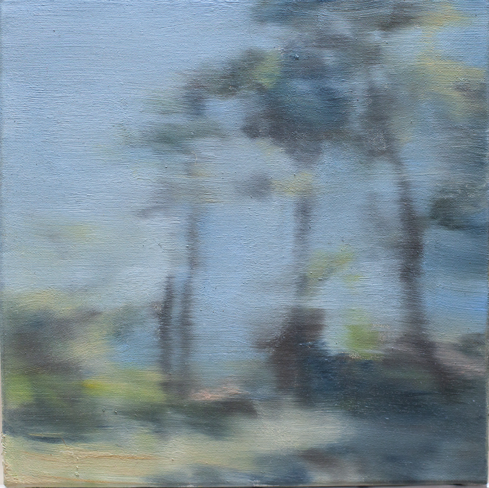 Jérôme Witz — 30cmX30cm